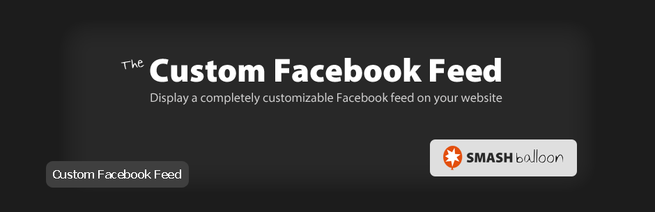 افزونه Custom Facebook Feed