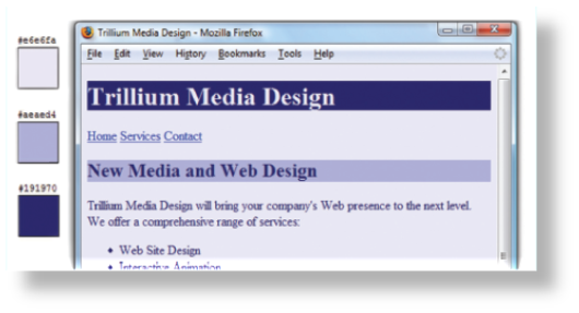 trillium media design2